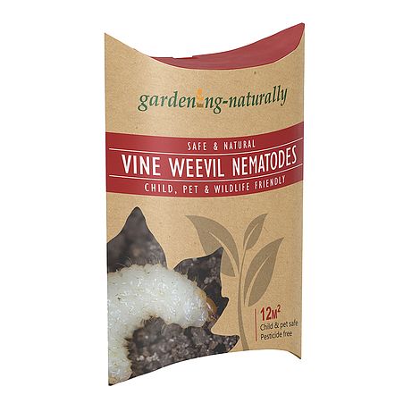 Vine Weevil Nematodes Gardening Naturally 12 sq.m